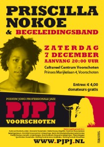 PJPJ-Affiche-07-12-13